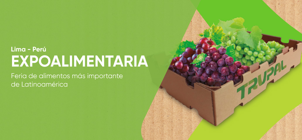 Participación en la feria expoalimentaria 2019