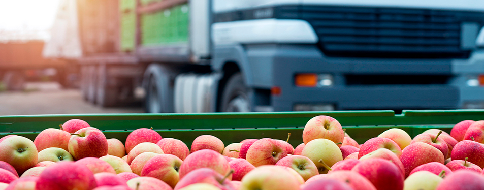 ¿Cómo elegir el empaque ideal de frutas para exportar?