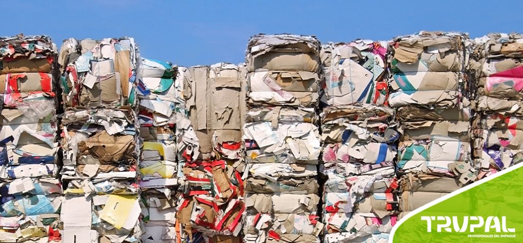 economía circular en la industria del papel