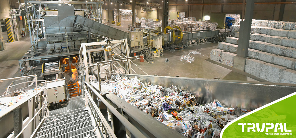 ¿Por qué la industria del papel ya está aplicando la economía circular?
