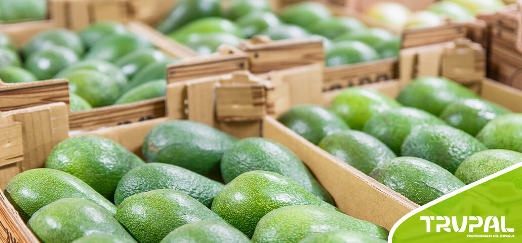 cajas para agroexportación