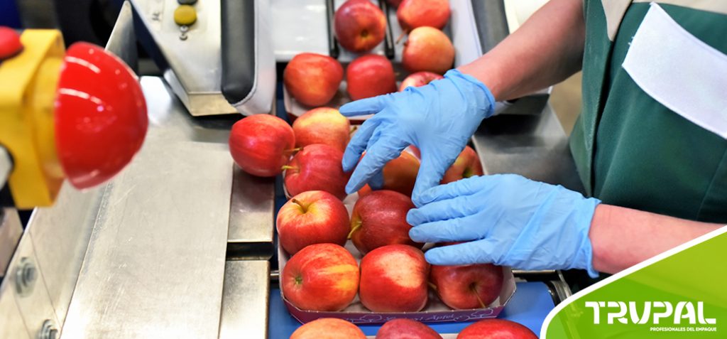 envases de exportación de frutas 