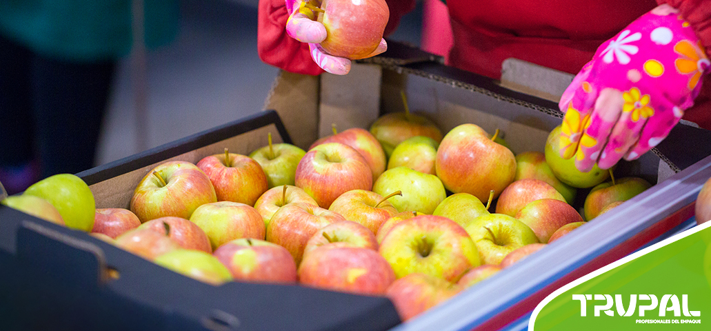 ¿Cuál es el empaque ideal de frutas  de exportación?