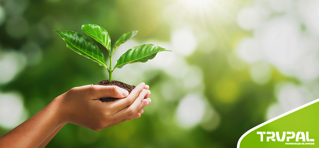 Día Mundial del Medio Ambiente