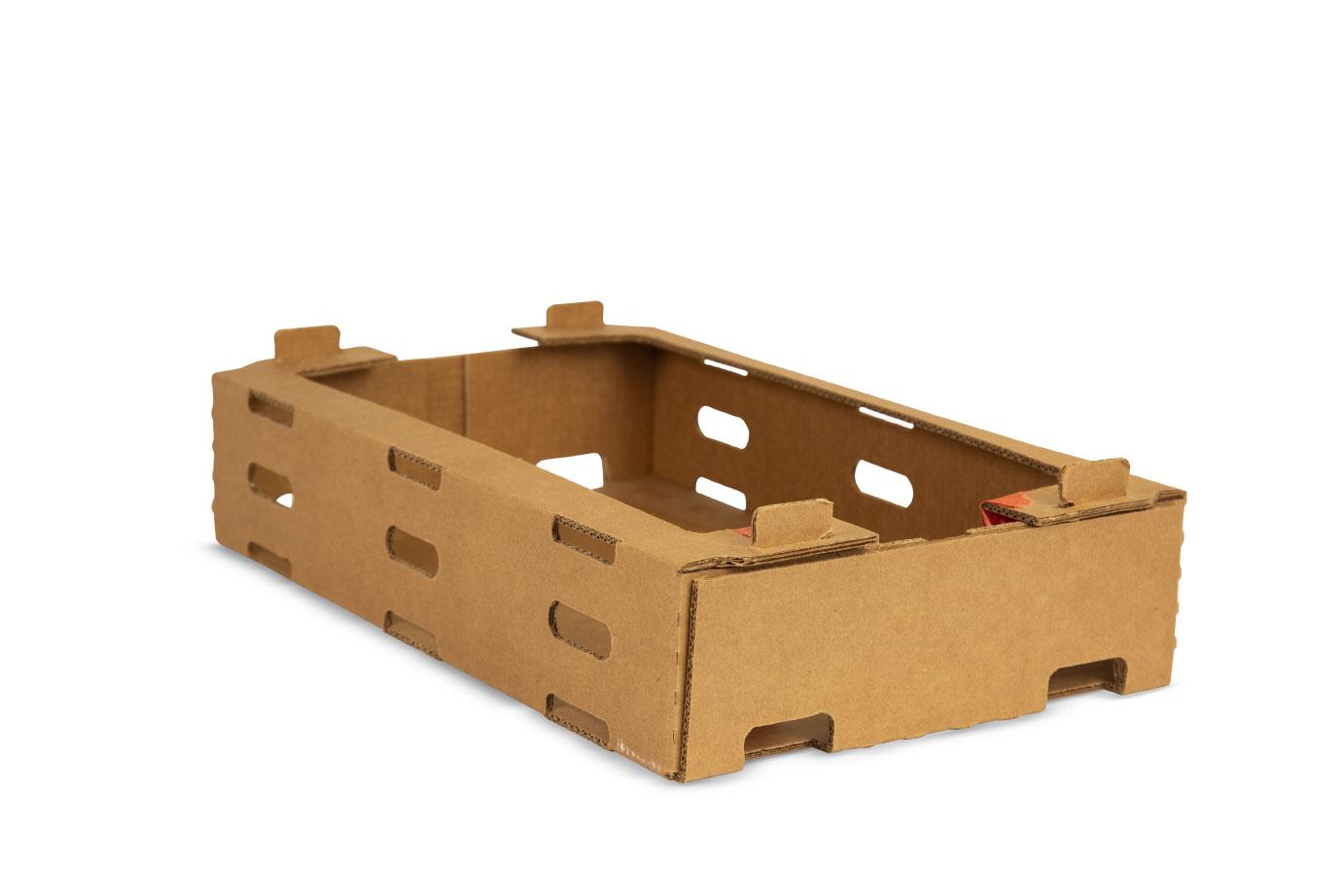 Arquitectura Ubicación práctico Venta de Cajas troqueleadas de cartón para ExportacIón|Trupal Perú